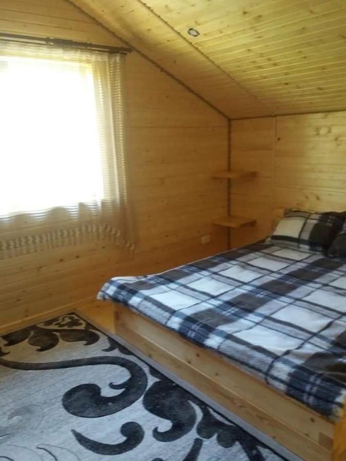 У Мар'яни Villa Ворохта Екстериор снимка