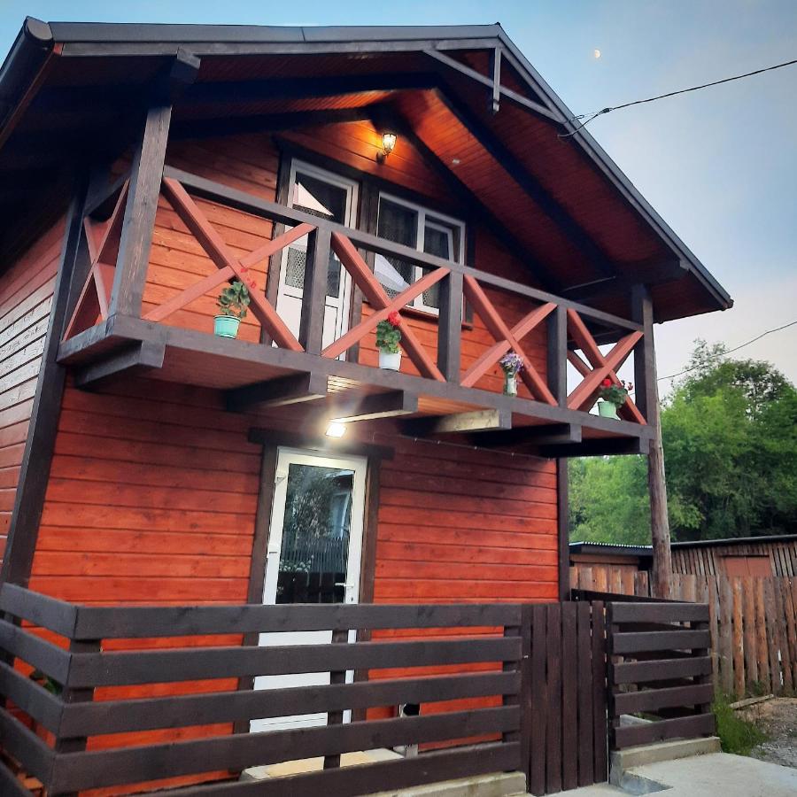 У Мар'яни Villa Ворохта Екстериор снимка